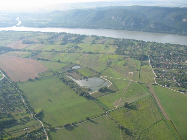 2009 134