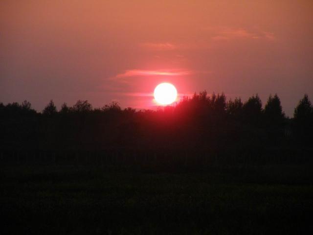 DSCF9301