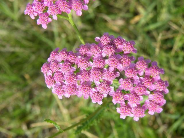 DSCF9400