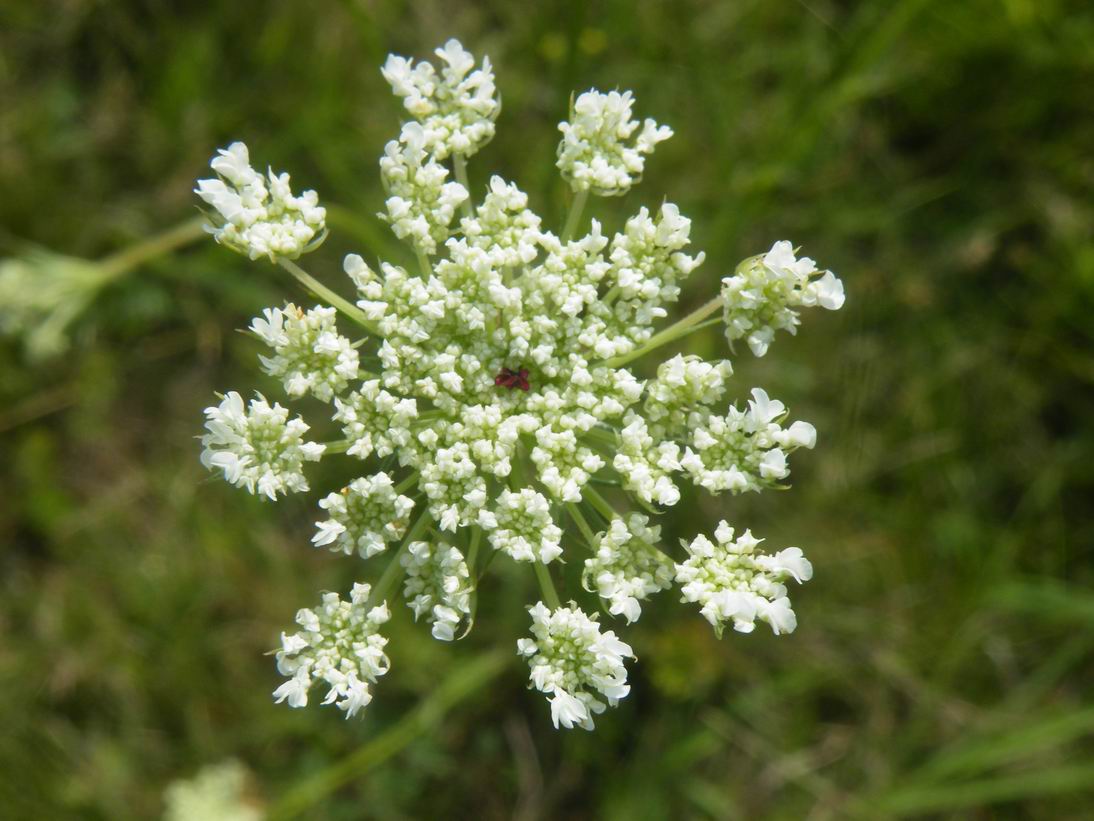 DSCF9403