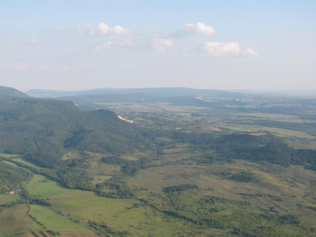 2009 177