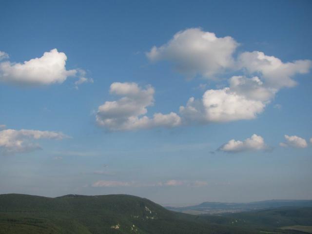 2009 195