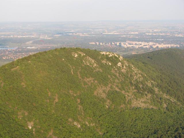 2009 243