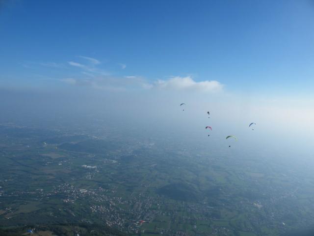 DSCF1446