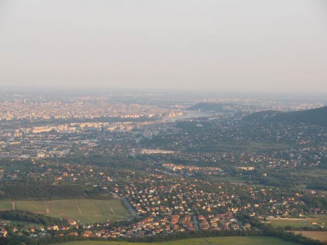 2009 262