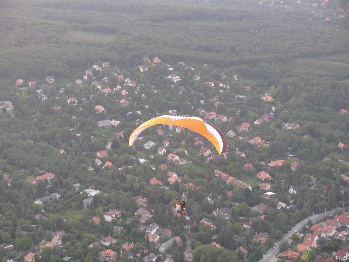 2009 351