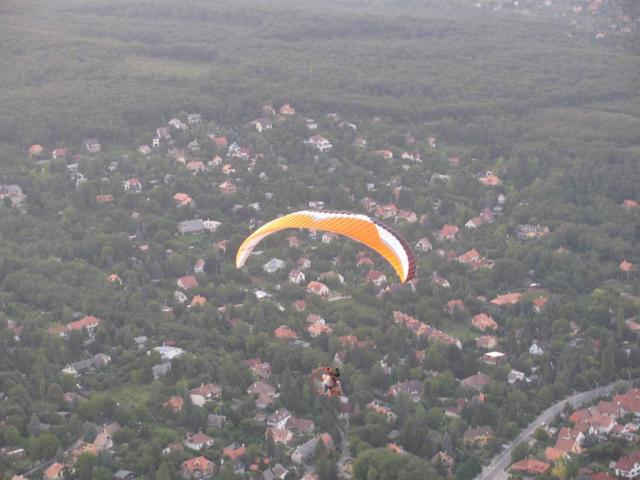 2009 351