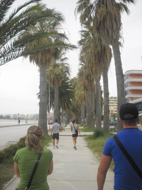SAM_0771