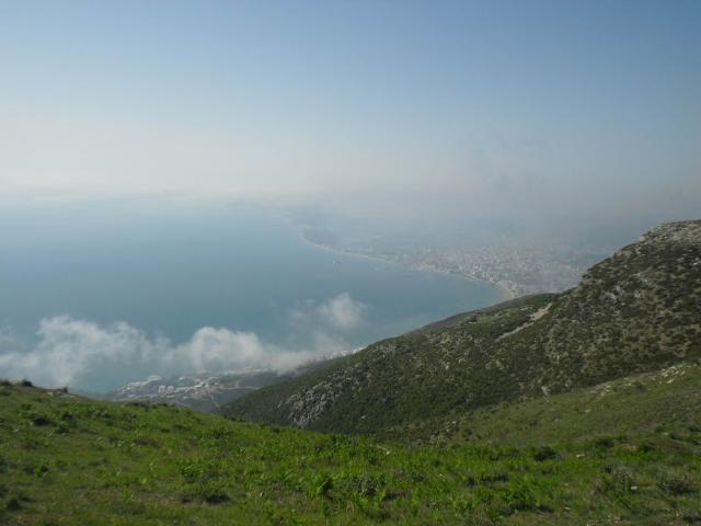 SAM_0867