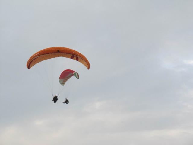 IMG_2591