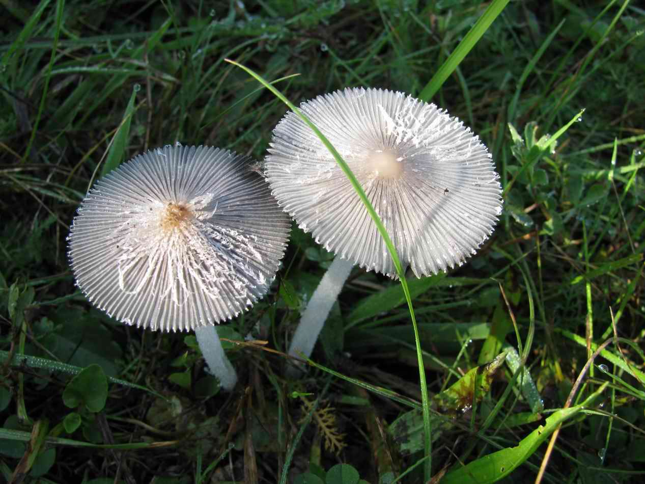 359